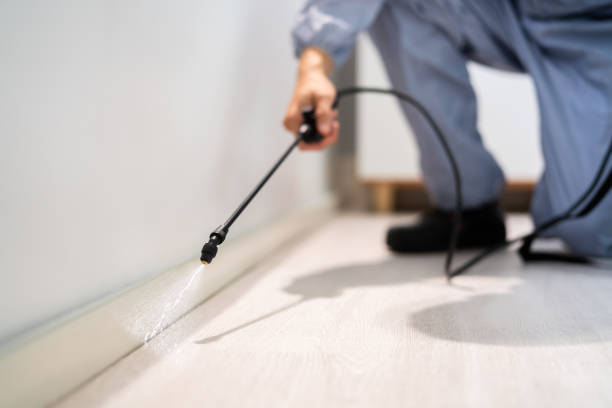 Licensed Fumigation Services service in Paradise, CA - Nex Pest Control