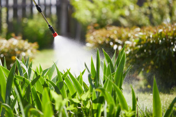 24/7 Emergency Fumigation Services experts in Paradise, CA