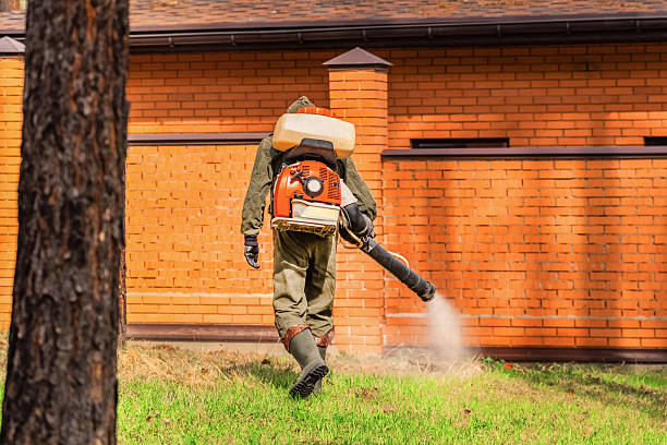 Top rated local Fumigation Services specialists in Paradise, CA